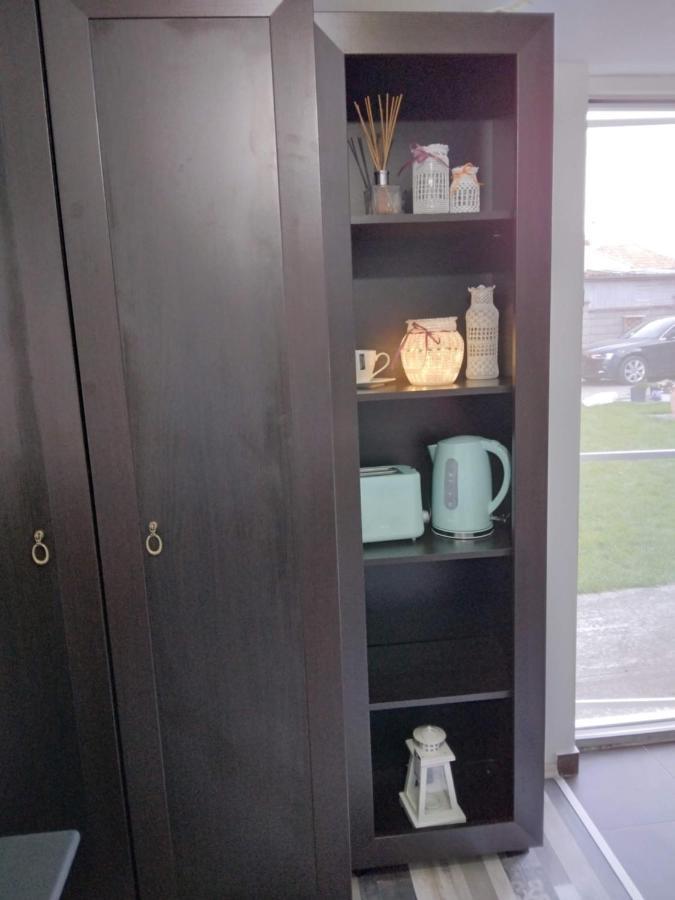 Studio Unique Daire Temeşvar Dış mekan fotoğraf